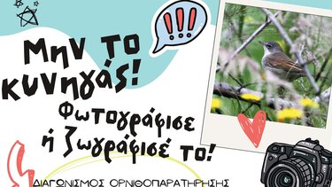 «Μην το κυνηγάς! Φωτογράφισε ή ζωγράφισέ το!» 