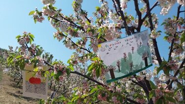 Ψηφιακός χάρτης για τις «Ανθισμένες Διαδρομές» της Ελλάδας