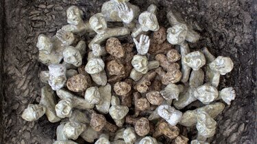 «Ιδανικές Φωνές»: Έκθεση του Κωνσταντίνου Παγωμένου στη Δημοτική Πινακοθήκη Μαλεβιζίου