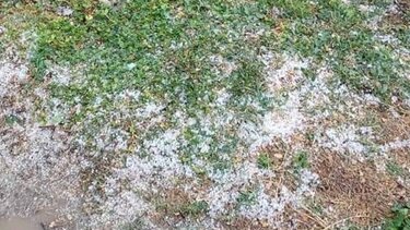 Το ΚΚΕ Λασιθίου για τις ζημιές που προκλήθηκαν από την πρόσφατη κακοκαιρία