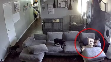 Βίντεο που κόβει την ανάσα: 9χρονος σκύβει για να γλυτώσει από σφαίρες 