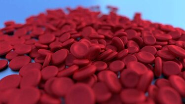 3η Δεκεμβρίου- Παγκόσμια Ημέρα Ατόμων με Αναπηρία: Διακήρυξη του Συλλόγου Θαλασσαιμίας Ηρακλείου και Λασιθίου 