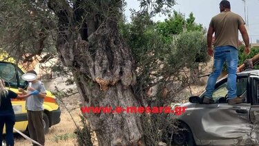 Έπεσε σε δέντρο κι έκοψε στη μέση τον στύλο της ΔΕΗ, μετά το τροχαίο!