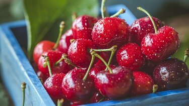 Τα κεράσια μπορεί να μας προστατεύουν από την άνοια και τη νόσο Αλτσχάιμερ