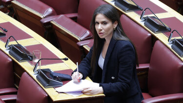“Καμπανάκι” για τους μελισσοκόμους: Άμεση ενίσχυση ζητά η Ελένη Βατσινά