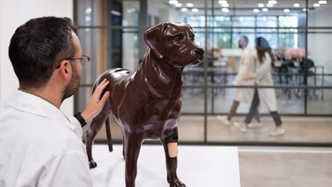 Ισχυρό πτυχίο κτηνιατρικής από το Ευρωπαϊκό Πανεπιστήμιο Κύπρου