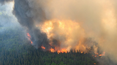 Δασικές πυρκαγιές στον Καναδά - Εσπευσμένη απομάκρυνση 17.000 ανθρώπων