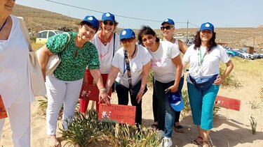 «Προστατεύω τα Κρινάκια της Άμμου» - Με επιτυχία η δράση