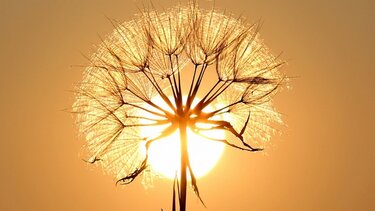 Γιατί ο ήλιος μας προκαλεί φτέρνισμα