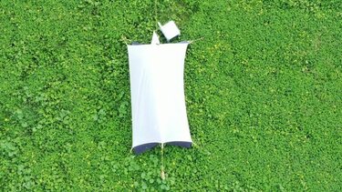 Υπολογίζουν τη βιοποικιλότητα των εντόμων στον Λίσταρο!