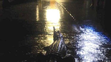 Αυστραλία: Αγνοείται 12χρονος που φέρεται να δέχθηκε επίθεση από κροκόδειλο