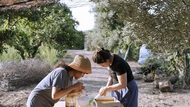 Παρουσιάζεται η έκθεση αποτελεσμάτων των διεθνών ερευνητικών εργαστηρίων PERIPLUS στον Πλατανιά