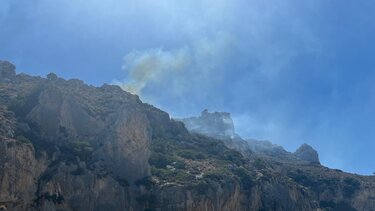 Καπνισάκης: Γεωμετρική αύξηση των καμένων εκτάσεων επί κυβέρνησης Μητσοτάκη