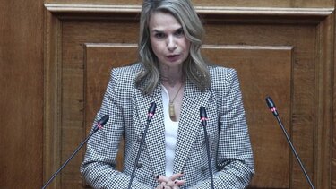 Μιλένα Αποστολάκη: Η διεκδίκηση της προεδρίας του ΠΑΣΟΚ μετεξελίχθηκε σε μια μάχη προσωποκεντρική