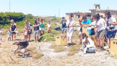 Απελευθερώθηκαν ο "Κώστας", ο "Παναγιώτης" και ο "Χρήστος"!