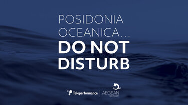 Πέντε +1 πράγματα που δεν ξέρετε για την Posidonia Oceanica