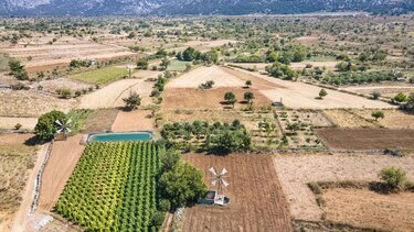 Δίνουν "χρώμα" στο Οροπέδιο Λασιθίου!