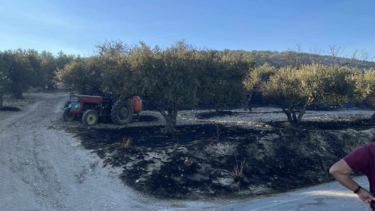 Φωτιά στα Άνω Άκρια: Πρώτα σημάδια αισιοδιοξίας 