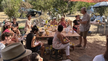 Ολοκληρώνονται τα Ερευνητικά εργαστήρια Periplus στον Αλικιανό