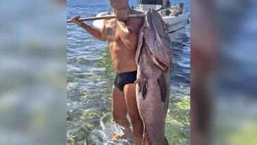 Ψάρι γίγας έβγαλε ψαράς στον Λέντα