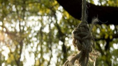 17χρονος εντοπίστηκε απαγχονισμένος μέσα σε ελαιώνα