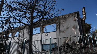 Πλιάτσικο στα καμμένα της βορειοανατολικής Αττικής: Δέκα προσαγωγές και μία σύλληψη