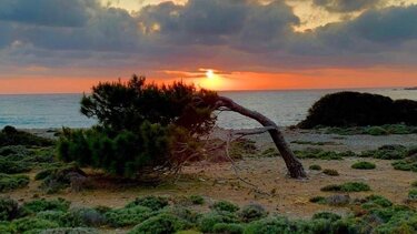 Κρήτες Ανασκουμπωθείτε 