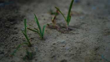 Ανομβρία και με τη... βούλα-Δεν είναι διαπίστωση, είναι ζοφερή πραγματικότητα!