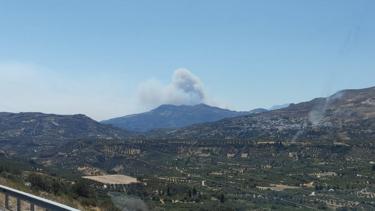Πυροσβεστική: 35 αγροτοδασικές πυρκαγιές το τελευταίο εικοσιτετράωρο σε όλη την χώρα