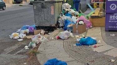 «Σε απόγνωση με τα σκουπίδια, δεν πάει άλλο!»