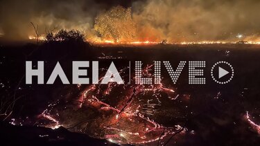 Υπό έλεγχο η φωτιά στο Καβούρι: Εκκενώθηκαν περιοχές - Οι φλόγες "έγλειψαν" τα πρώτα σπίτια