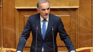 Γιατί παραπέμπεται για διαγραφή από τη ΝΔ ο Μάριος Σαλμάς 