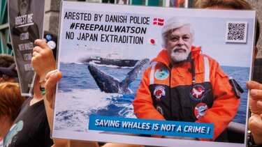 Από τη φυλακή του στη Γροιλανδία, ο υπερασπιστής των φαλαινών Πολ Γουότσον συνεχίζει τη μάχη