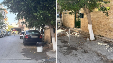 "Βάζουν αντικείμενα για να μην τους πάρουμε τη θέση παρκαρίσματος... στον δρόμο" 