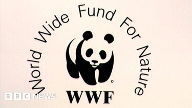 WWF: Οι πληθυσμοί της άγριας πανίδας έχουν μειωθεί κατά 73% την τελευταία 50ετία