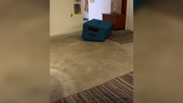 Σκότωσε τον φίλο της κλείνοντας τον σε βαλίτσα