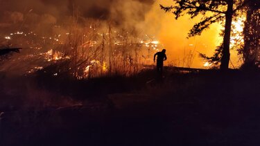 Φωτιά Σκινιάς