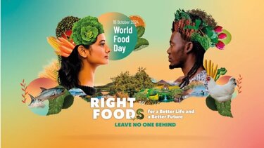 Παγκόσμια Ημέρα Διατροφής: Η «Τράπεζα Τροφίμων Κρήτης» συνεχίζει την κοινωνική της προσφορά