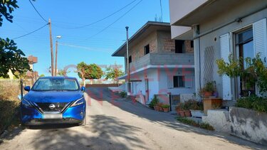 Σκύλος όρμησε σε ανήλικη! - Στο νοσοκομείο η 14χρονη