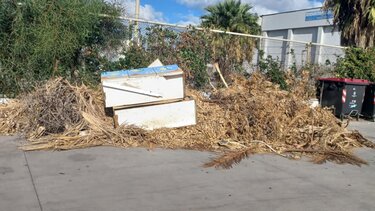 Απίστευτη εικόνα δίπλα σε χώρους που αθλούνται παιδιά