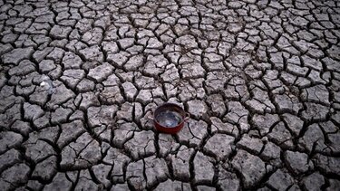 ΟΗΕ: Οι σημερινές ξηρασίες και πλημμύρες αποτελούν «πρόγευση» του μέλλοντος