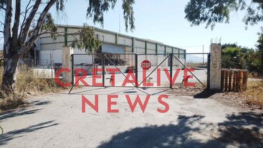 Γεμάτος αδέσποτα σκυλιά ο χώρος των πρώην σφαγείων στο Αρκαλοχώρι!