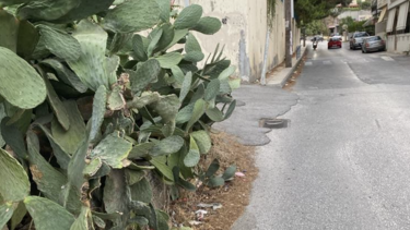 Περνάνε από "παγίδες" για να μπουν στο σχολείο