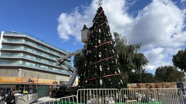 Χριστουγεννιάτικο Δέντρο