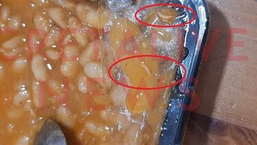 Σκουλήκια ή φύτρες;