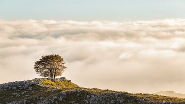 Κλίμα, Καιρός