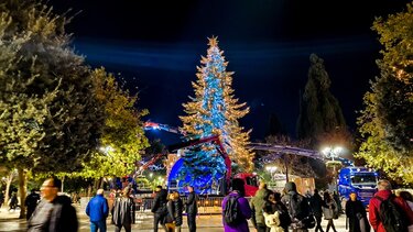 Δέντρο, Σύνταγμα