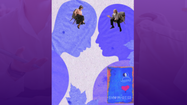 Πρόγραμμα, συστημική ψυχοθεραπεία, Συνηχήσεις