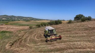 χωράφι, καλλιέργεια