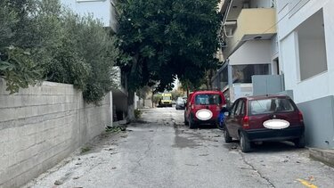 Δρόμος, Αλικαρνασσός, Δέντρο